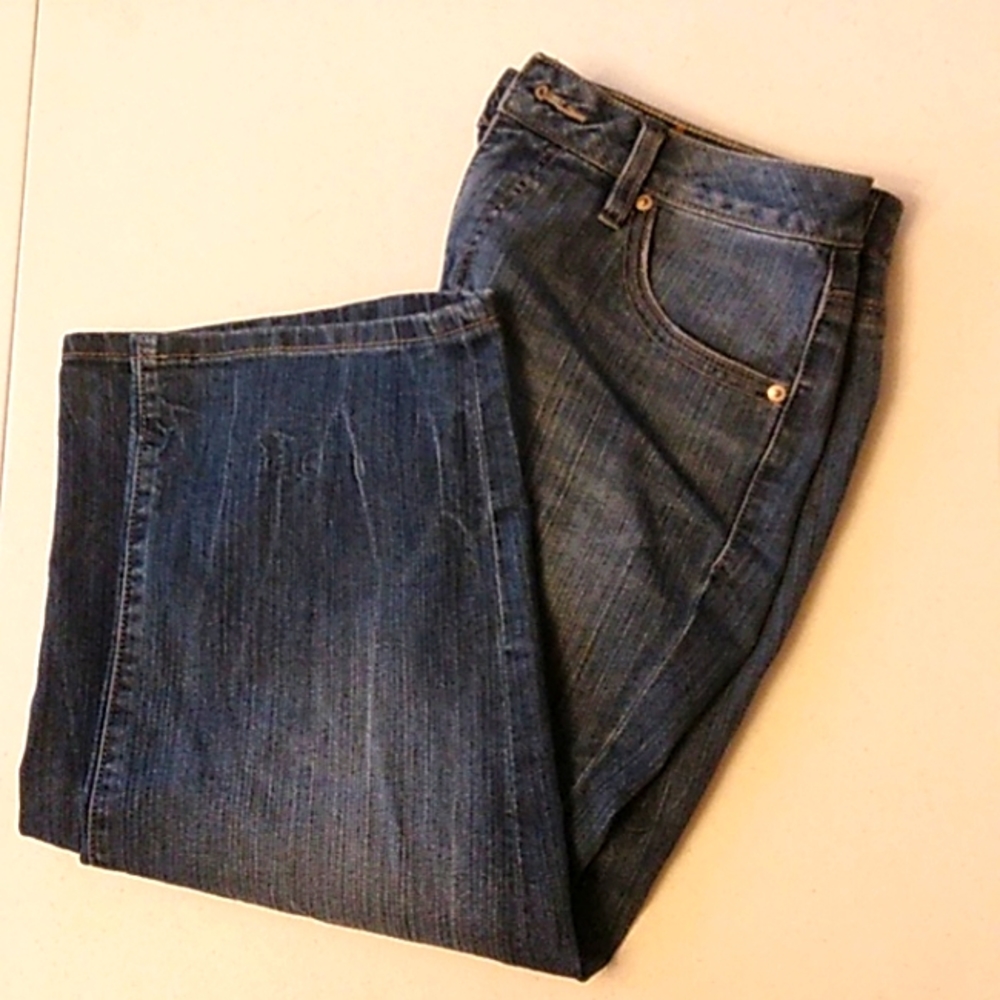 Jag women's jeans size 12 classic fit (j8)